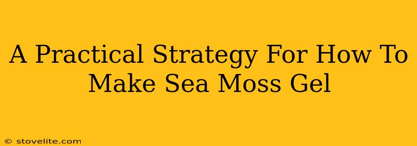 A Practical Strategy For How To Make Sea Moss Gel