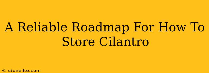 A Reliable Roadmap For How To Store Cilantro