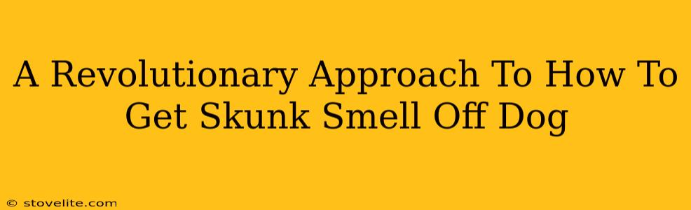 A Revolutionary Approach To How To Get Skunk Smell Off Dog