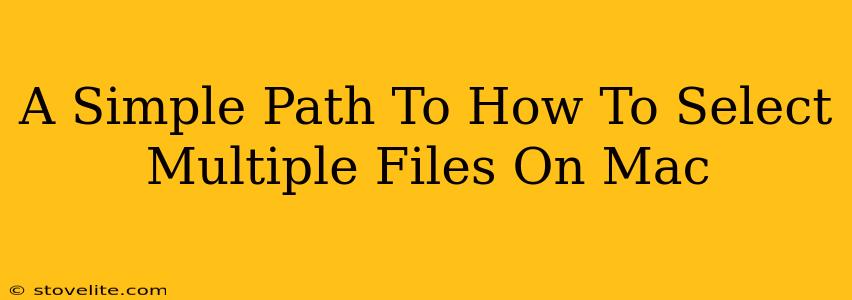 A Simple Path To How To Select Multiple Files On Mac