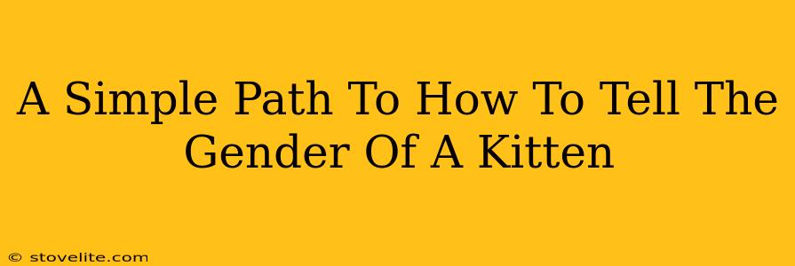 A Simple Path To How To Tell The Gender Of A Kitten