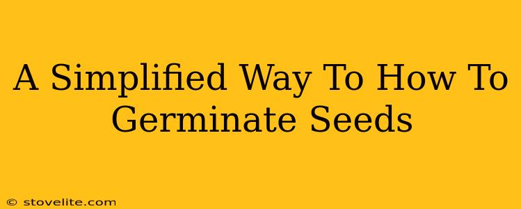 A Simplified Way To How To Germinate Seeds