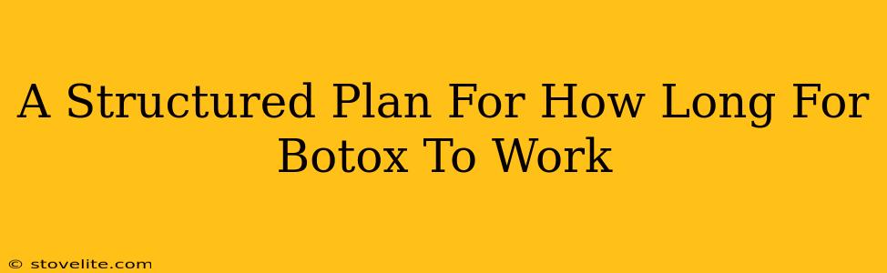 A Structured Plan For How Long For Botox To Work