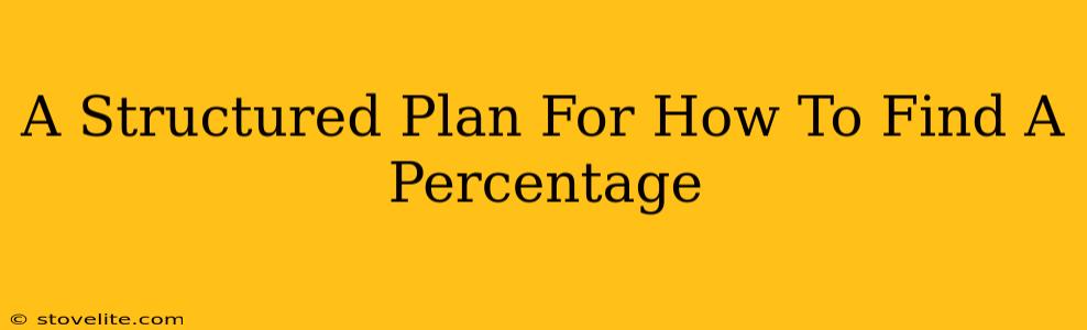 A Structured Plan For How To Find A Percentage