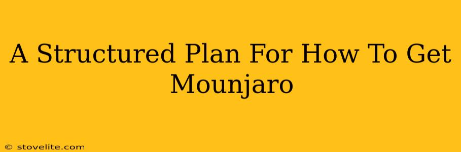 A Structured Plan For How To Get Mounjaro