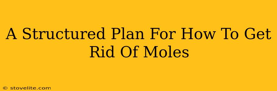 A Structured Plan For How To Get Rid Of Moles