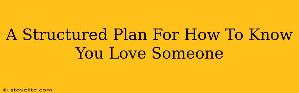 A Structured Plan For How To Know You Love Someone