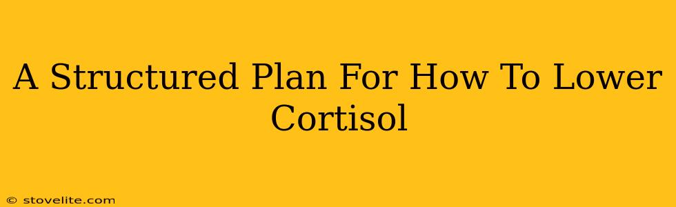 A Structured Plan For How To Lower Cortisol