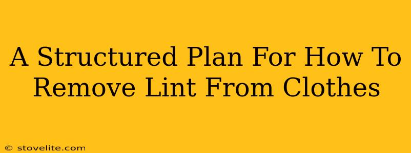 A Structured Plan For How To Remove Lint From Clothes