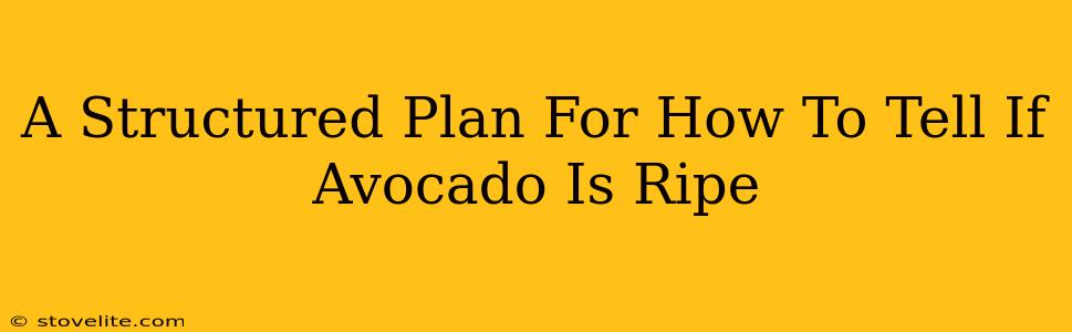 A Structured Plan For How To Tell If Avocado Is Ripe