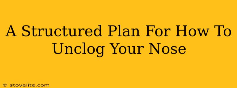 A Structured Plan For How To Unclog Your Nose