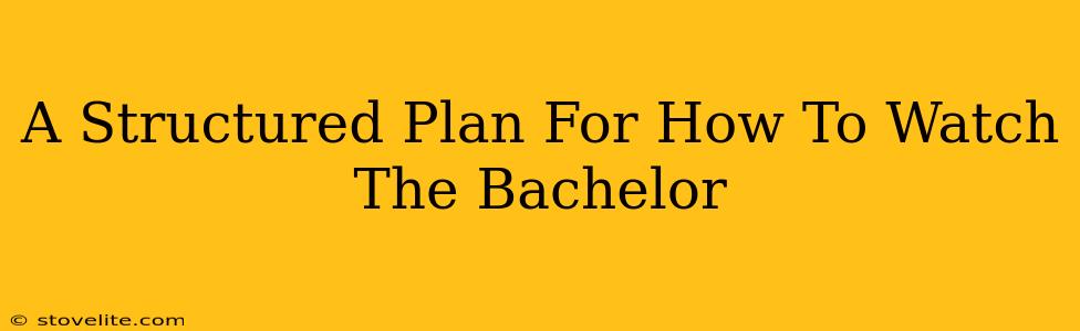 A Structured Plan For How To Watch The Bachelor