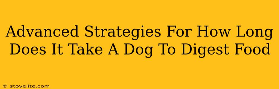 Advanced Strategies For How Long Does It Take A Dog To Digest Food