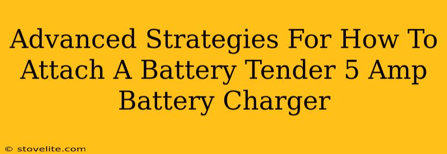 Advanced Strategies For How To Attach A Battery Tender 5 Amp Battery Charger