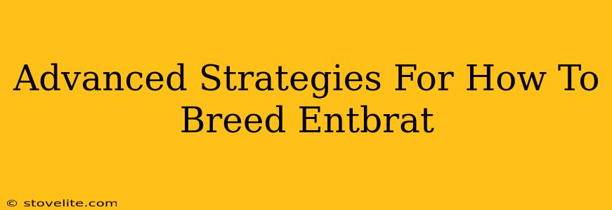 Advanced Strategies For How To Breed Entbrat