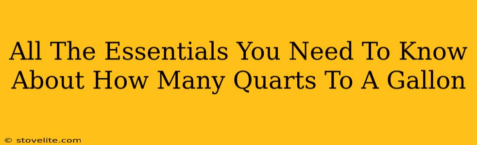 All The Essentials You Need To Know About How Many Quarts To A Gallon