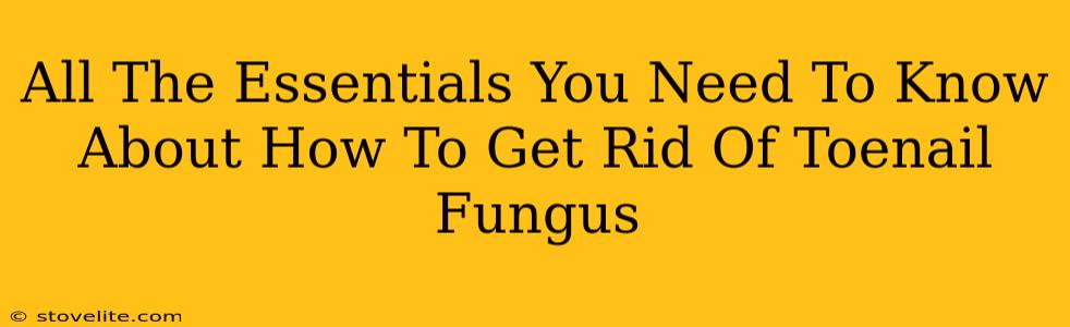 All The Essentials You Need To Know About How To Get Rid Of Toenail Fungus