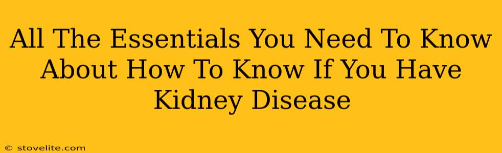 All The Essentials You Need To Know About How To Know If You Have Kidney Disease