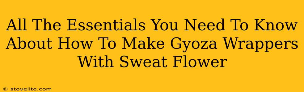 All The Essentials You Need To Know About How To Make Gyoza Wrappers With Sweat Flower