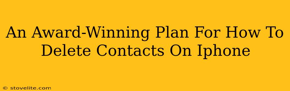 An Award-Winning Plan For How To Delete Contacts On Iphone