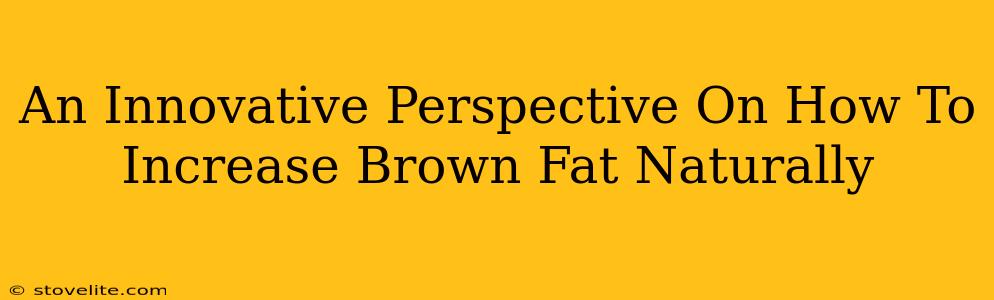 An Innovative Perspective On How To Increase Brown Fat Naturally
