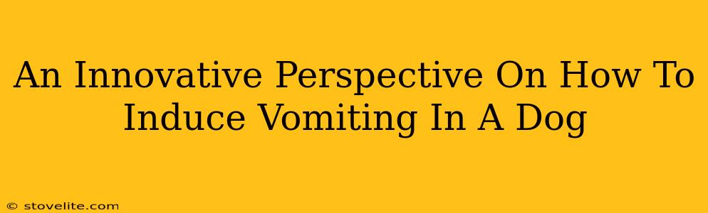 An Innovative Perspective On How To Induce Vomiting In A Dog
