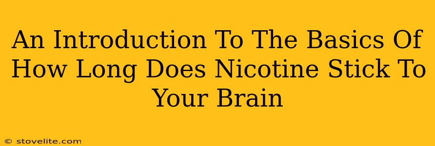 An Introduction To The Basics Of How Long Does Nicotine Stick To Your Brain