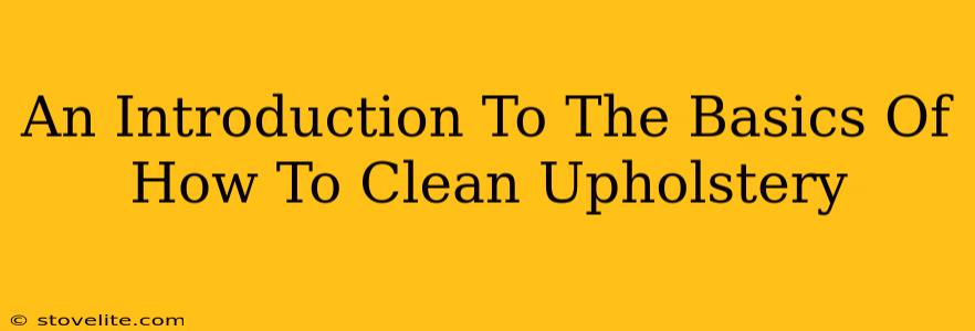 An Introduction To The Basics Of How To Clean Upholstery