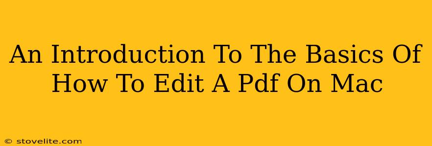 An Introduction To The Basics Of How To Edit A Pdf On Mac