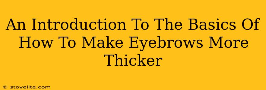 An Introduction To The Basics Of How To Make Eyebrows More Thicker