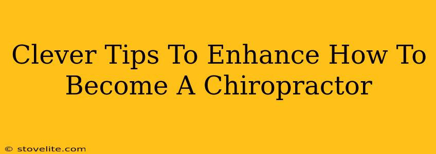 Clever Tips To Enhance How To Become A Chiropractor