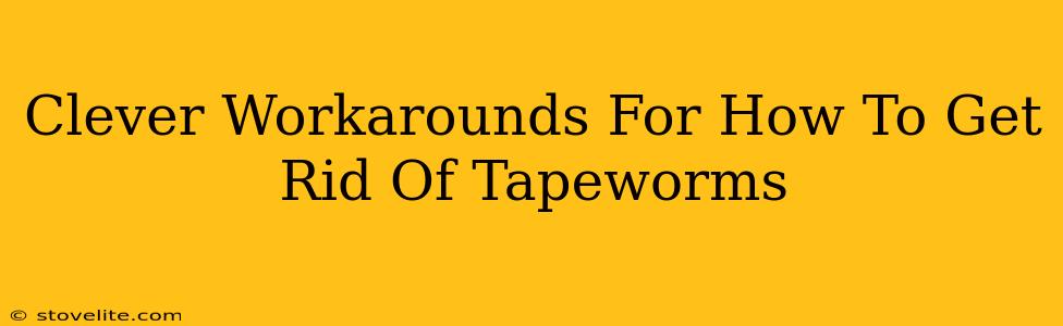 Clever Workarounds For How To Get Rid Of Tapeworms