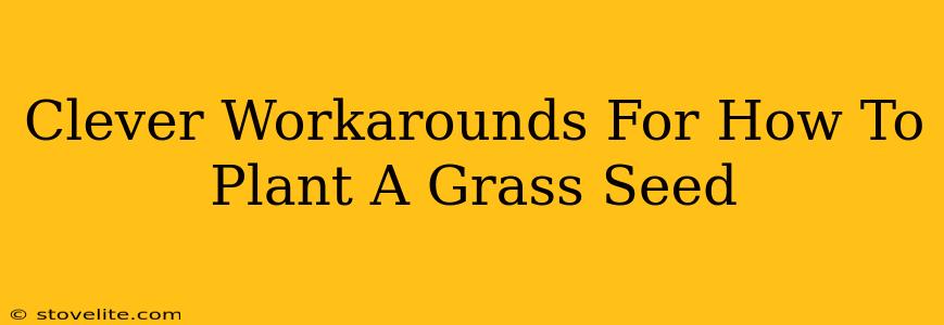 Clever Workarounds For How To Plant A Grass Seed