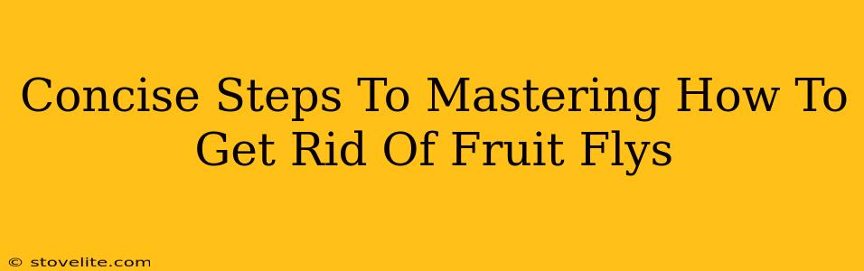 Concise Steps To Mastering How To Get Rid Of Fruit Flys