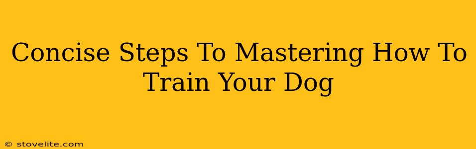 Concise Steps To Mastering How To Train Your Dog