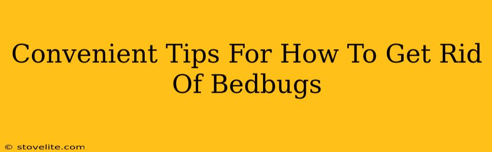 Convenient Tips For How To Get Rid Of Bedbugs