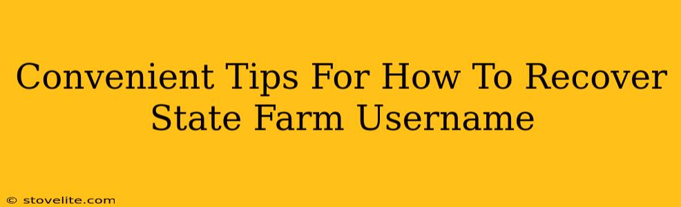 Convenient Tips For How To Recover State Farm Username