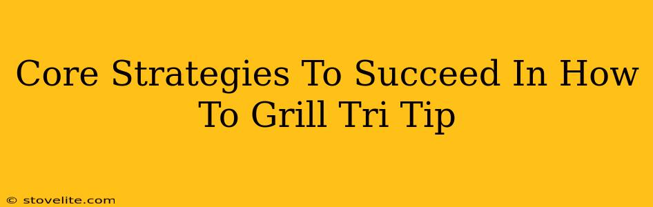 Core Strategies To Succeed In How To Grill Tri Tip