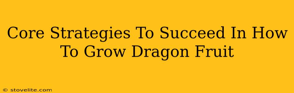 Core Strategies To Succeed In How To Grow Dragon Fruit