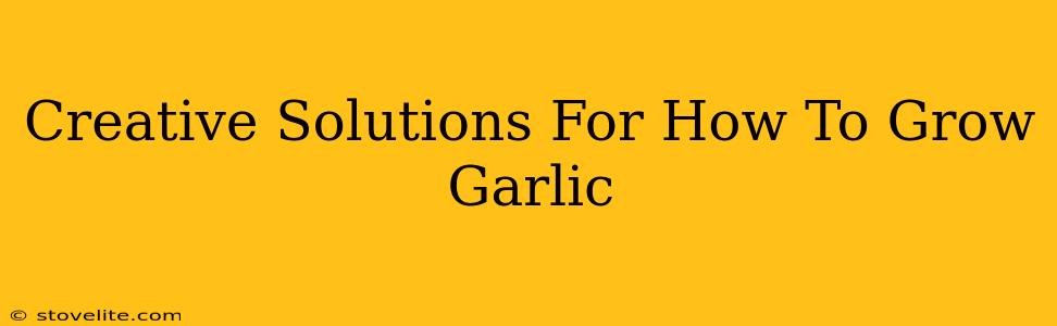 Creative Solutions For How To Grow Garlic