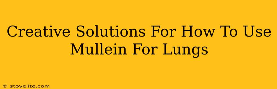 Creative Solutions For How To Use Mullein For Lungs