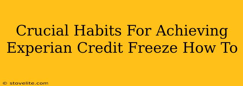 Crucial Habits For Achieving Experian Credit Freeze How To