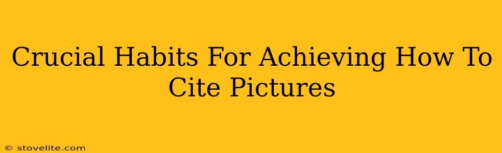 Crucial Habits For Achieving How To Cite Pictures