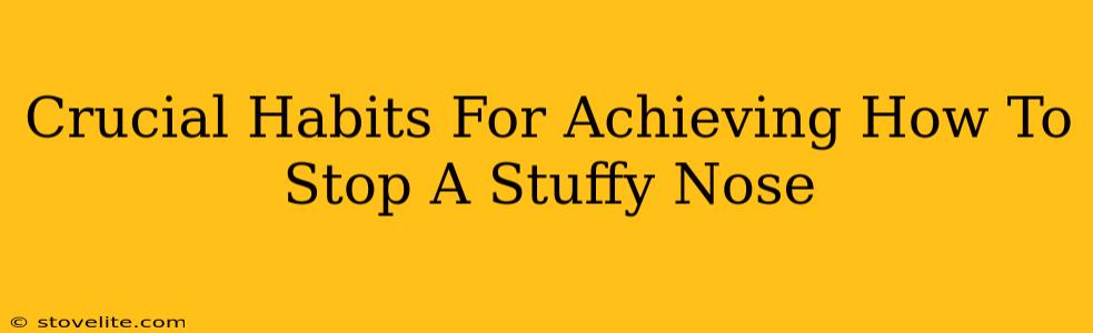 Crucial Habits For Achieving How To Stop A Stuffy Nose