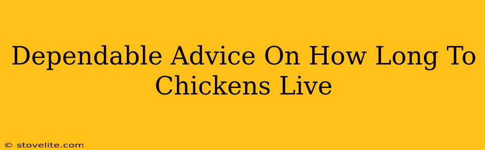 Dependable Advice On How Long To Chickens Live