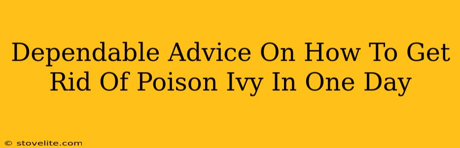 Dependable Advice On How To Get Rid Of Poison Ivy In One Day