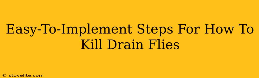 Easy-To-Implement Steps For How To Kill Drain Flies