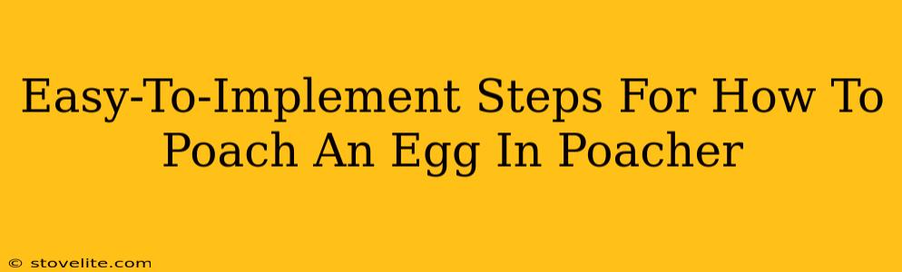 Easy-To-Implement Steps For How To Poach An Egg In Poacher