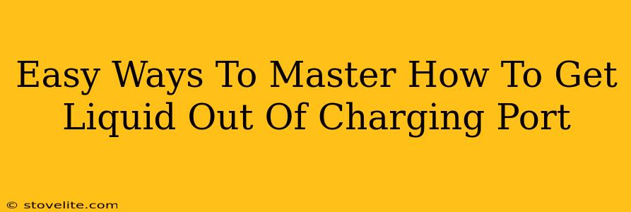 Easy Ways To Master How To Get Liquid Out Of Charging Port