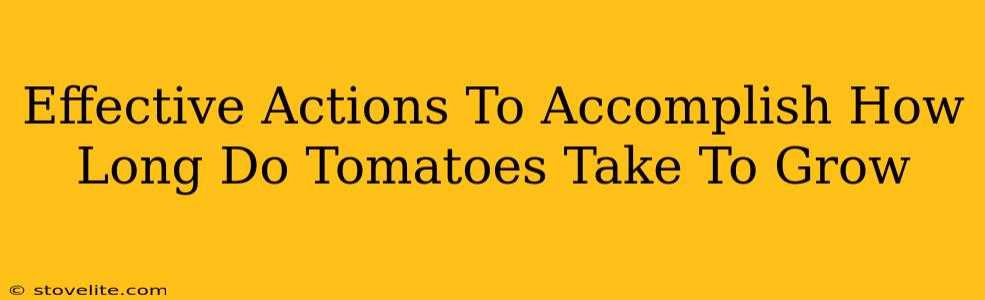 Effective Actions To Accomplish How Long Do Tomatoes Take To Grow